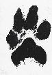 Paw Print on Our Hearts